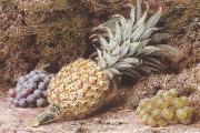 John Sherrin A Pineapple and Grapes on a mossy Bank (mk37) oil painting